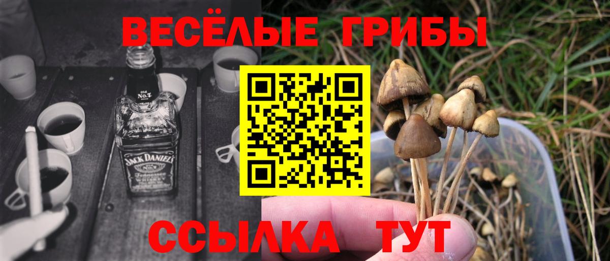 Учалы  Галлюциногенные грибы Psilocybine cubensis  Вход с VPN 
